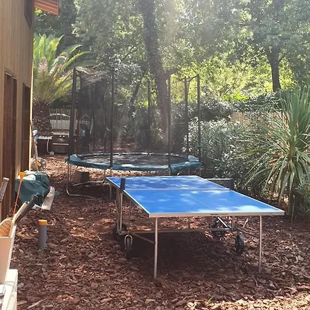 New Fully Equipped Modern In Lac * Biscarrosse
